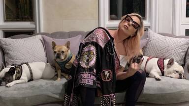 Lady Gaga y sus perros